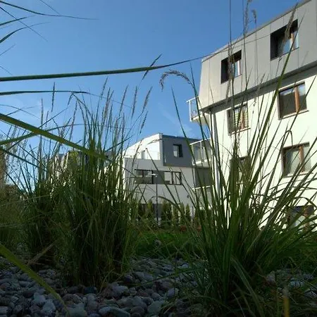 Irs Royal Irs Copernicus