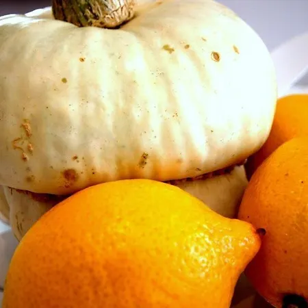 דירה Irs Royal Irs Copernicus *