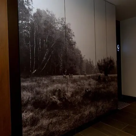 Irs Royal Irs Copernicus