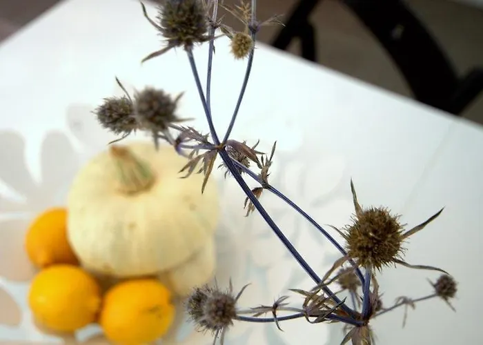 Irs Royal Irs Copernicus Lägenhet