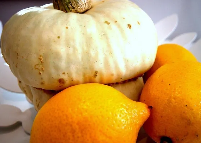 Lägenhet Irs Royal Irs Copernicus *