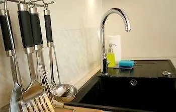 Irs Royal Irs Copernicus